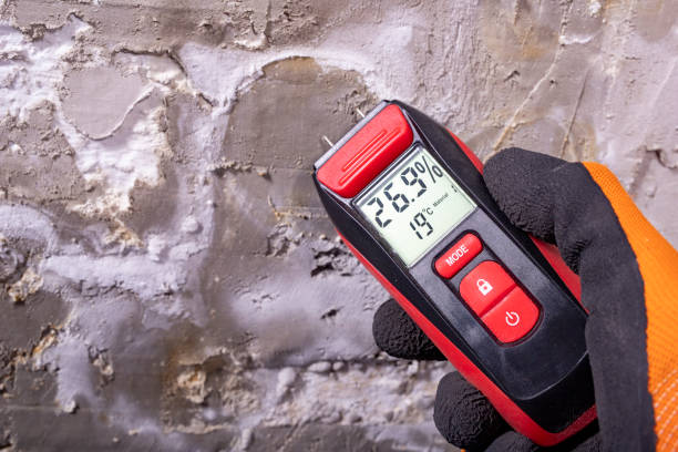 Best DIY Mold Remediation Support Services in Chleston, AR