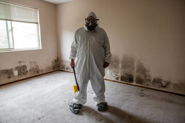 Best Residential Mold Remediation in Chleston, AR